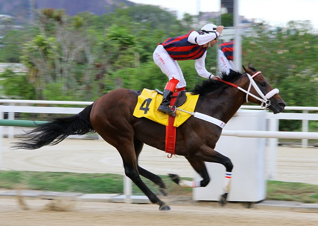 Daniel Boone esbanja categoria na P.E.Helíaco