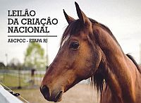Leilão da Criação Nacional: inscrições para etapa do RJ terminam em 10/3