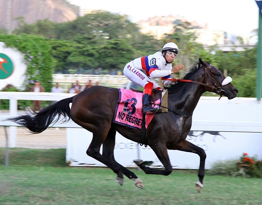 No Regrets, a glória do GP Diana (G1) no caminho para a Tríplice Coroa