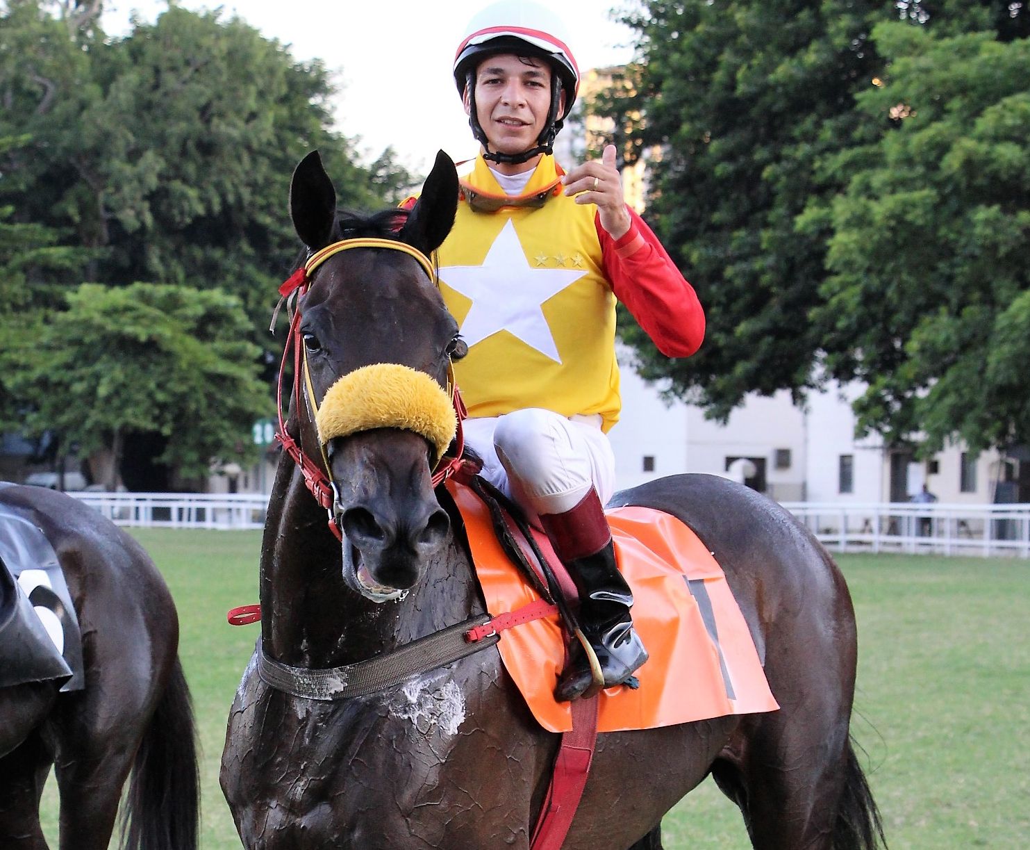 ADDEDs – GP Luiz Fernando Cirne Lima (G3)