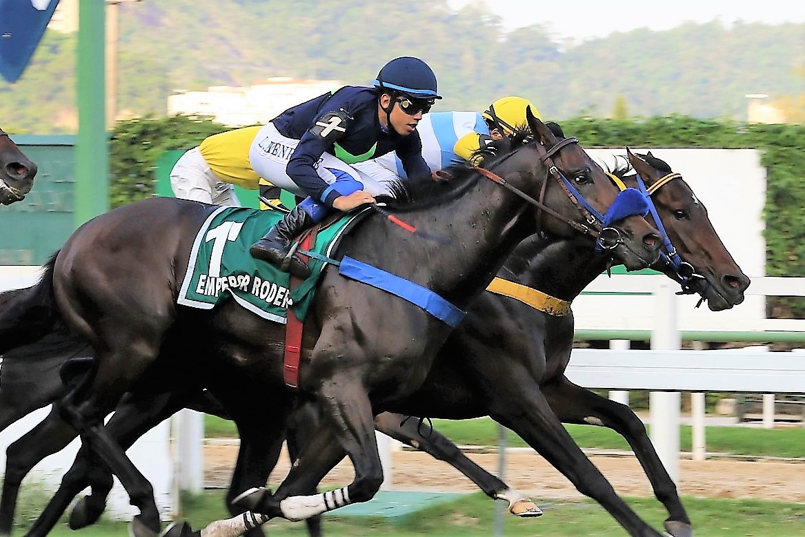 Em final sensacional, Emperor Roderic supera Voador Magee e vence o GP Cuzeiro do Sul – Derby (G1)