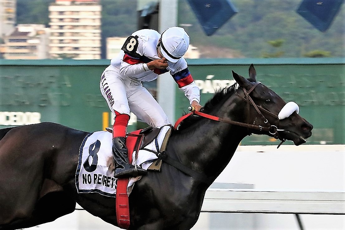 O turfe tem uma nova rainha, a Tríplice Coroa é de No Regrets