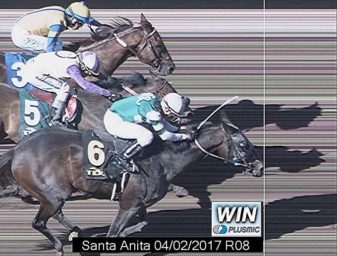EUA: Hi Happy perde G3 por pescoço em Santa Anita