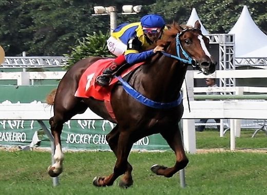 Copa Leilões em destaque na Gávea