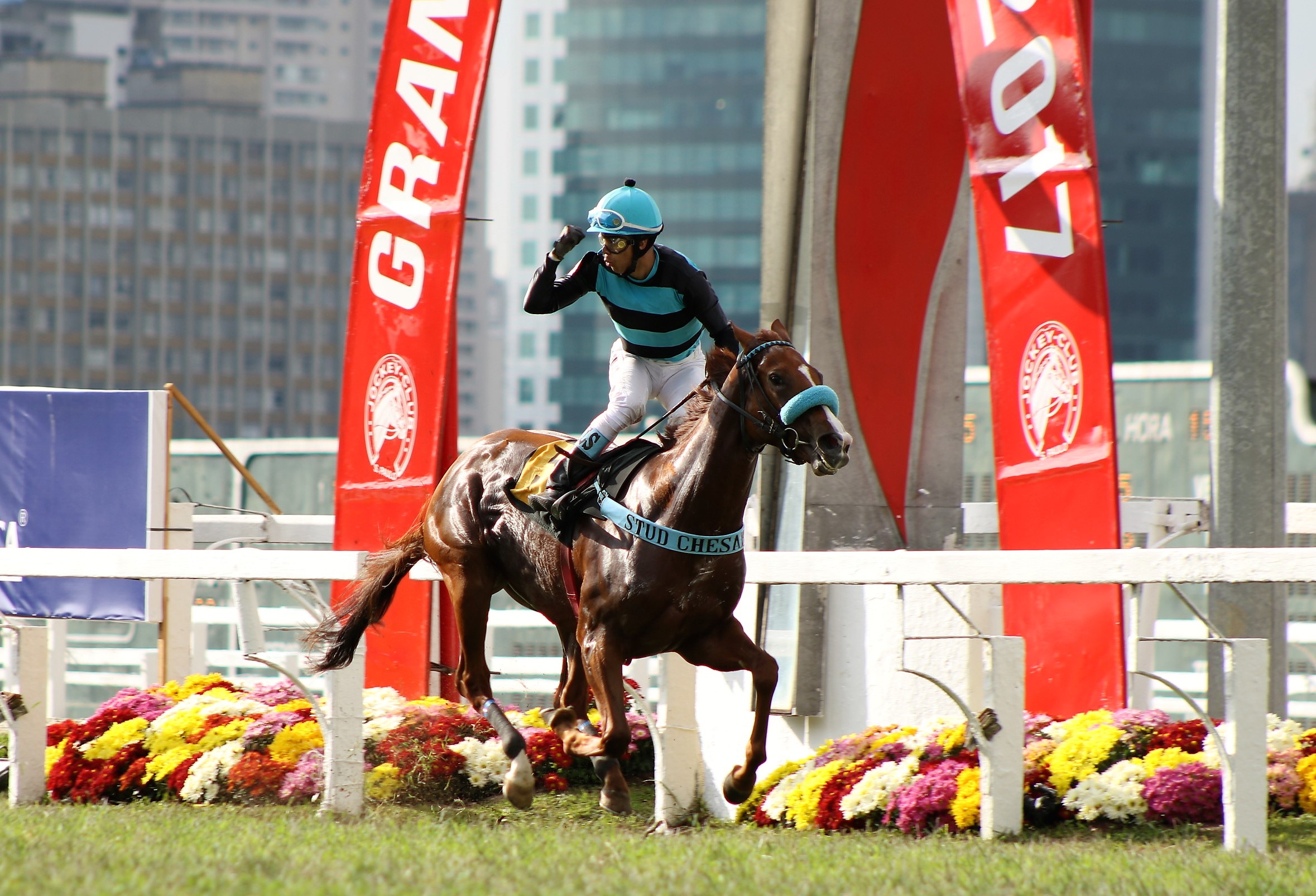 Líder, Love ‘N’ Happiness mostra classe no GP Pres. Guilherme Ellis (G3)