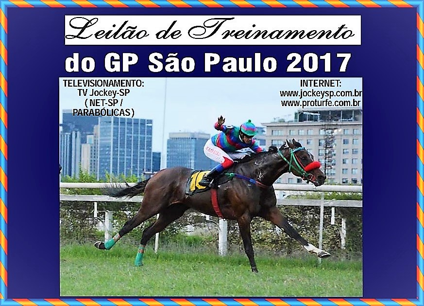 Pro Turfe – Leilão de Treinamento do GP São Paulo nesta quinta-feira (04)