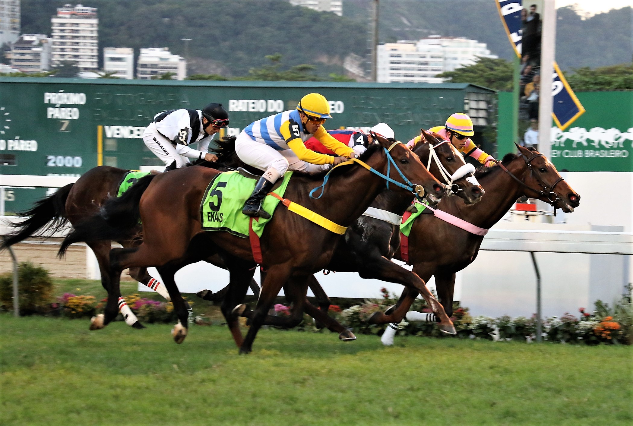 Em final sensacional, vitória de Ekans no GP Roberto e Nelson Grimaldi Seabra (G1)
