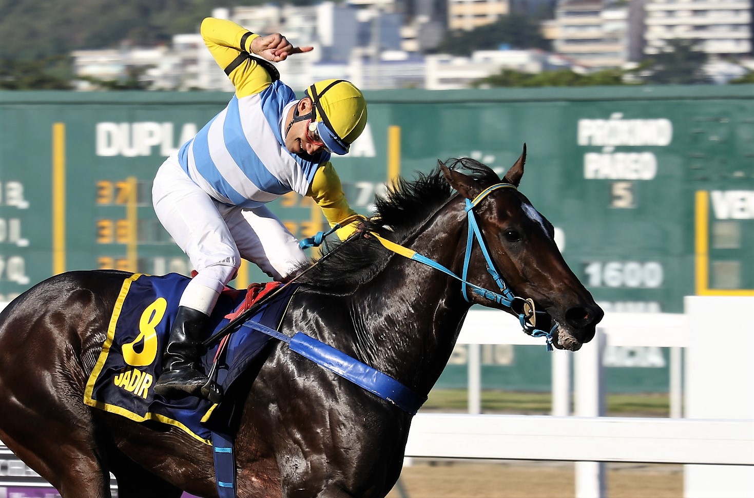 Jadir mostra categoria de líder no GP Jockey Club Brasileiro (G1)