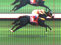 Love ‘N’ Happiness e Gibraltar Point, líderes em SP. La Vie em Rose vence G3 e Jeanne Alves a estatística