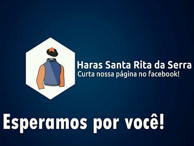 Leilão Geração 2015 do Haras Santa Rita da Serra, hoje, às 13 horas, no Tattersall da Gávea