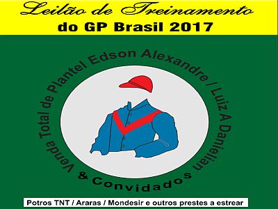 Pro Turfe realiza Leilão de Treinamento GP Brasil 2017, dia 10 de junho