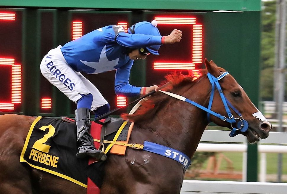 Perbene, o melhor velocista do país, domina o GP Major Suckow (G1)