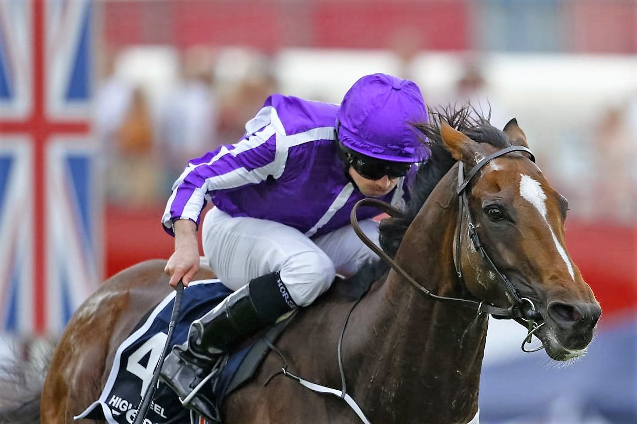 Royal Ascot: Highland Reel confirma favoritismo no Prince of Wales’s Stakes (gr.I)