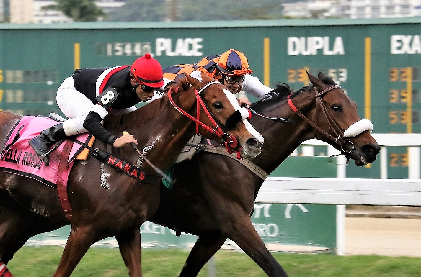 De ponta a ponta, Eiffel e vence o GP Onze de Julho (G2)