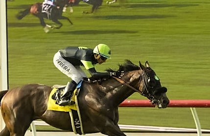 Na abertura da temporada em Del Mar,  Bowies Hero & Tiago Pereira brilham no 71st THE OCEANSIDE STAKES