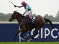 Enable reina soberana no King George VI & Queen Elizabeth Stakes (gr.I)