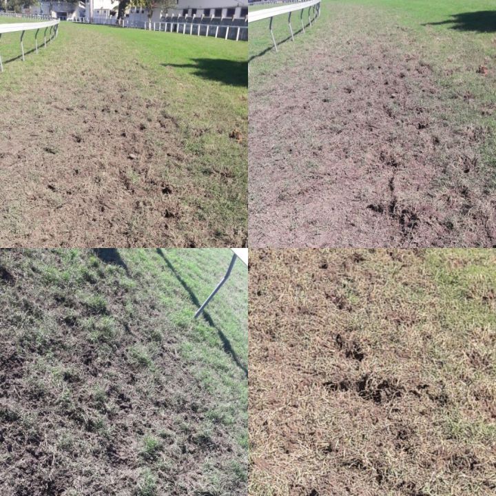 CC do JCB trabalha para a rápida recuperação da pista de grama