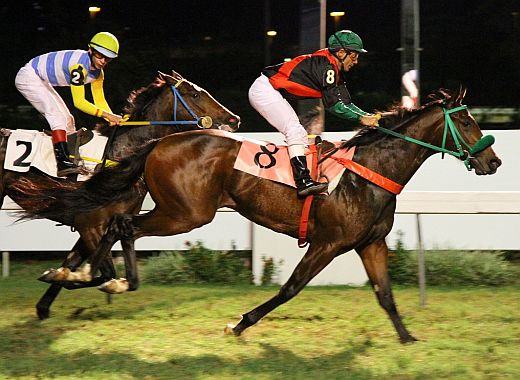 ADDEDs confirmados: GP João Adhemar de Almeida Prado – Taça de Prata (G1)