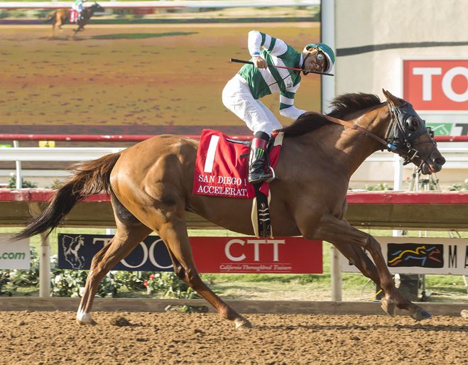 Accelerate reina soberano no revés de Arrogate