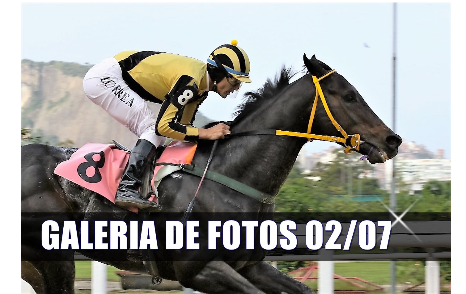 Galeria de Fotos – Confira os vencedores deste DOMINGO (02) no JCB