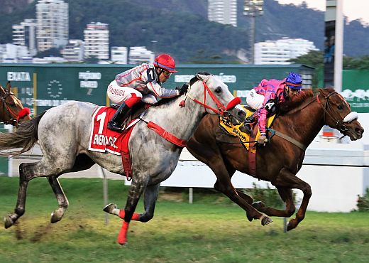 King David resiste a Energia Guest para vencer o GP Dezesseis de Julho (G2)