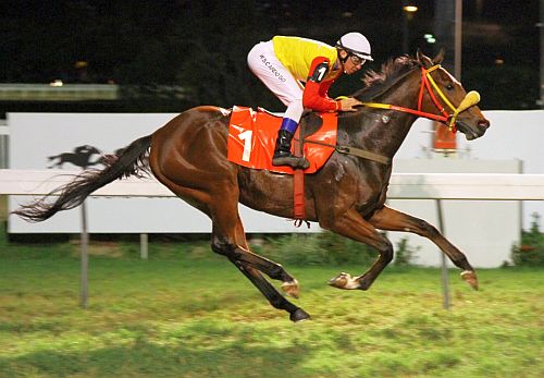 Equilíbrio é a tônica do GP J. Adhemar de Almeida Prado (G1)