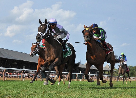 EUA: March X Press, uma Shanghai Bobby, vence stakes em Nova York