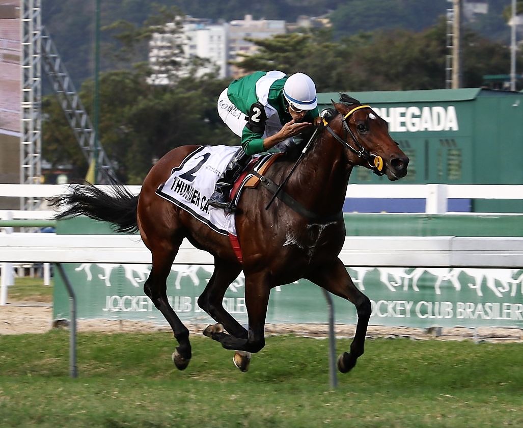 Thunder Cat confirma favoritismo na Copa ABCPCC Velocidade – Mario Belmonte Moglia (G3)
