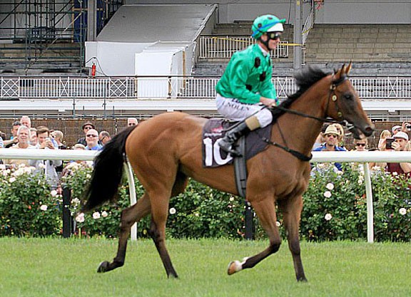 Austrália: filha de Black Caviar vence a primeira em Geelong