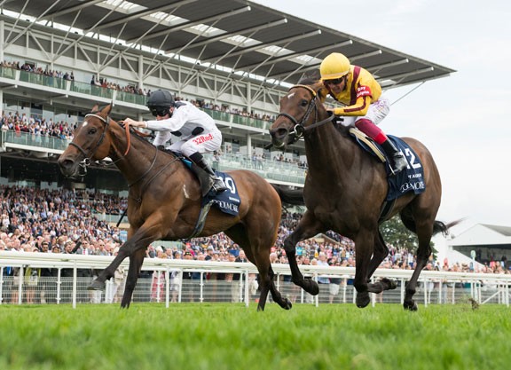 Grã-Bretanha: focinho garante vitória de Marsha sobre Lady Aurelia no Nunthorpe Stakes (gr.I)