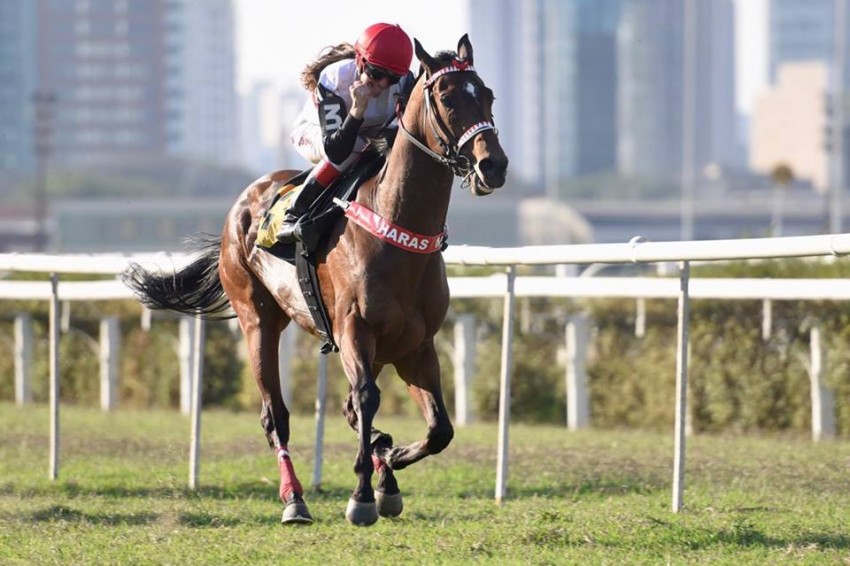 Olympic Fluke vence a Prova Especial Cacique Negro em SP