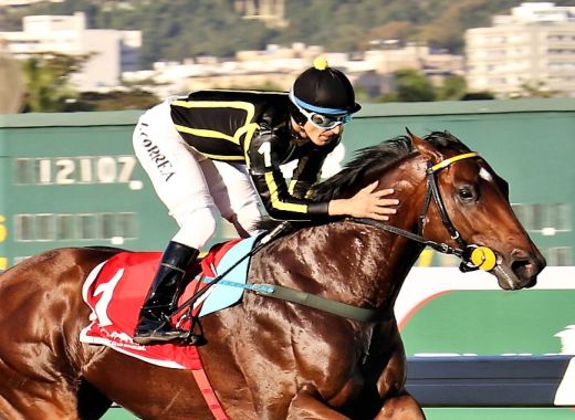 Thunder Cat esbanja classe no GP Adhemar e Roberto Gabizo de Faria (G3)