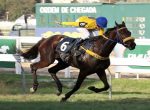 Etrusca atropela forte para levantar a P.E. Joiosa