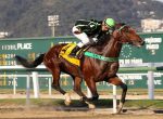 Invicto na areia, High Chris esbanja classe no GP Professor Nova Monteiro (G3)