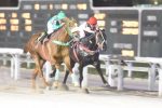 Don Miloca vence a Prova Especial Dark Brown