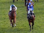 Winx vence a 19ª consecutiva na Austrália