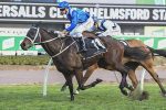 Sublime, Winx conquista a 20ª vitória consecutiva