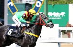 Galeria de fotos – Confira os vencedores de DOMINGO (01) no JCB