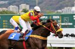 Galeria de fotos – Confira os vencedores de DOMINGO (22) no JCB