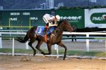 Galeria de Fotos – Confira os vencedores desta TERÇA (24) no JCB