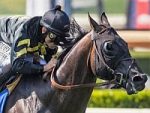 Fora da Breeders’ Cup Mile, Bal A Bali ingressa na reprodução