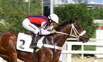 ADDEDs – GP Diana (G1) – 2ª Etapa da Tríplice Coroa de Potrancas