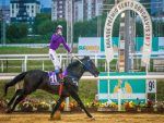 Ilustre Senador, o brilhante ganhador do 109º GP Bento Gonçalves (G2)
