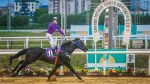 O Ilustre Senador tricampeão do GP Bento Gonçalves (G2)