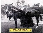 Platina, uma das melhores éguas brasileiras de todos os tempos