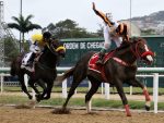 Tinindo, Special Envoy leva a melhor no GP Salgado Filho (G3)