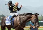 Arrogate, Bal A Bali e outros 185 animais pré-inscritos na Breeders’ Cup