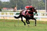 Galeria de fotos – Confira os vencedores de DOMINGO (19) no JCB