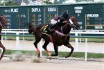 GP Hipódromo da Gávea (G3): Schweinsteiger tem nome de craque e corre como tal