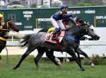 Batismo nobre de Cometa Karlo no Clássico São Francisco Xavier (L.)